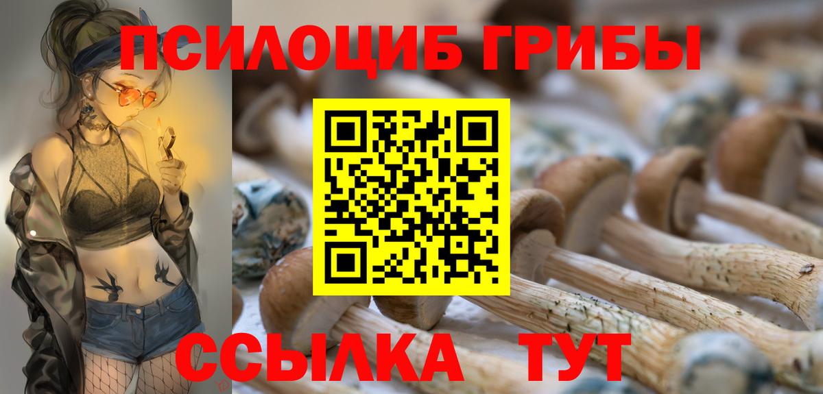 Псилоцибиновые грибы Magic Shrooms  Вход с VPN  Мытищи  Псилоцибиновые грибы MAGIC MUSHROOMS 